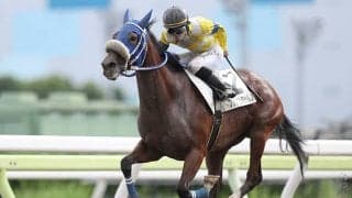 【地方競馬】SNSで注目を集めたプリンニシテヤルノ 地方転籍初戦を快勝