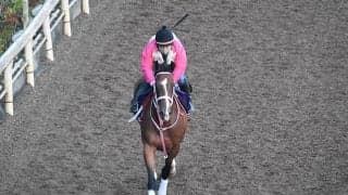 【セントウルS想定騎手】レシステンシアはC.ルメール騎手、カレンモエは松山弘平騎手