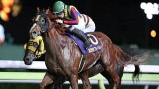 【大井・アフター5スター賞結果】3歳馬ワールドリングが抜け出して重賞連勝