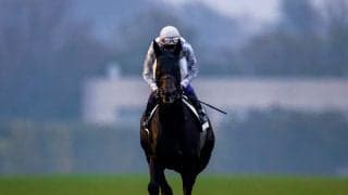 良血馬多数！新たな一口馬主クラブ「インゼルサラブレッドクラブ」が募集開始