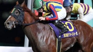 【大井・アフター5スター賞】快勝の3歳馬ワールドリング鞍上張田昂騎手「期待に応えてくれて本当に嬉しい」