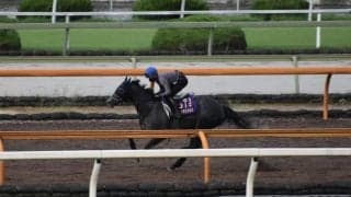 クロノジェネシス、凱旋門賞追い切り速報/栗東トレセンニュース