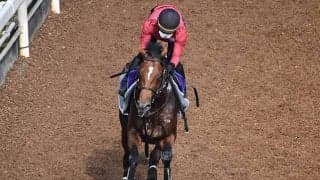 【京成杯AH想定騎手】グレナディアガーズは川田将雅騎手、カラテは菅原明良騎手