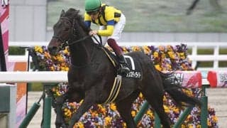 【先週のJRA抹消馬】ダンスインザムードの仔ダンスディライト、18年阪神JF3着馬ビーチサンバ、オジュウチョウサンの全弟コウキチョウサンなど