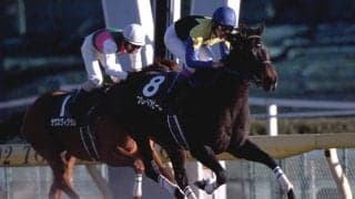 ブロードアピールが老衰のため27歳で死亡　強烈な末脚を武器に多くのファンを魅了