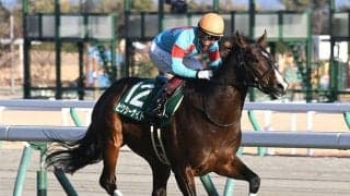 【AI予想】高齢馬が信頼薄のセントウルS　実績面でも高く評価できる注目馬は？