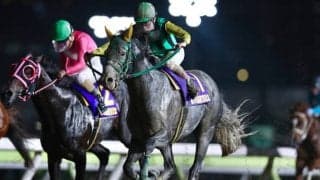 【大井・東京記念結果】フレッチャビアンカが競り合いを制して南関重賞初勝利