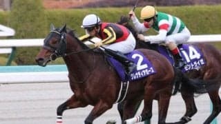 【京成杯AH展望】スピードと先行力が要求されるマイル重賞