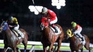 【大井・2004オフト大郷開設賞】的場文男騎手が65歳になっての初勝利！ 前日9月7日が誕生日