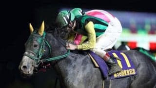 【大井・東京記念】南関重賞初Vフレッチャビアンカ御神本訓史騎手「レースぶりを見ても成長著しい馬だと思います」