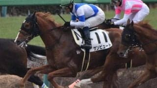 【門別競馬情報】道営記念H1と同一舞台、力勝負で豪脚発揮なるかクインズサターン！赤レンガ記念快勝リンノレジェンドの巻き返しや如何に。今季転入組サンビュート、リコーワルサーにも注目「第7回旭岳賞」/地方競馬情報