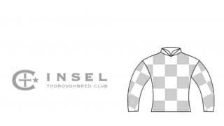 新たな一口馬主クラブが誕生！インゼルサラブレッドクラブが募集開始