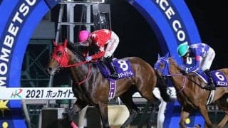 走る馬を発掘するのは「至難の業」2019年サマーセール取引馬の獲得賞金に大きな差