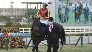 【京成杯AH予想オッズ】グレナディアガーズが予想1番人気に