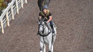 【セントウルS】出走馬・騎手確定 レシステンシア＆C.ルメール騎手、カレンモエ＆松山弘平騎手など17頭