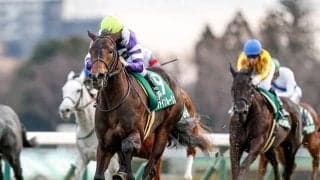 【紫苑S予想オッズ】ファインルージュが1番人気、エクランドールが続く