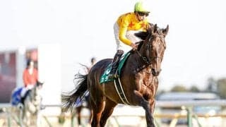 【京成杯AH】出走馬・騎手確定 グレナディアガーズ＆川田将雅騎手、カラテ＆菅原明良騎手など16頭