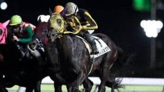 【大井・つばめ特別結果】張田昂騎手騎乗の良血サブノリョウマが勝利