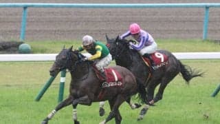 スズカプレストが競走馬登録抹消