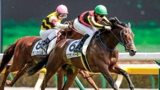 【紫苑S】出走馬・騎手確定 ファインルージュ＆福永祐一騎手、エクランドール＆C.ルメール騎手など18頭