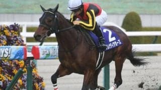 【京成杯AH枠順確定】グレナディアガーズは1枠1番、カラテは5枠10番