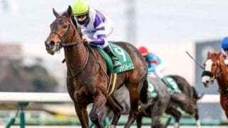 【紫苑S枠順確定】ファインルージュは6枠11番、エクランドールは2枠4番