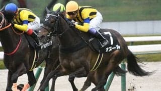 【ローズS想定】クールキャットはC.ルメール騎手、オヌールは川田将雅騎手