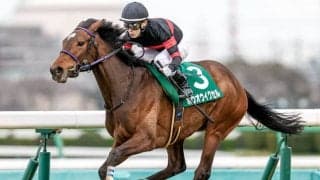 【紫苑S予想】去年1人気9着の凡走も該当していた…シンプルなデータで消せる人気の1頭/JRAレース展望 