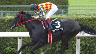 アイファーソング産駒が初出走　土曜中京5Rのアイファーヴァンズ