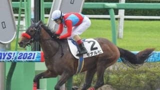 【中山4R新馬戦結果】ヘニーハウンド産駒モナルヒが差し切りV