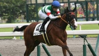 【中京4R新馬戦結果】ナミュールが2番手から押し切り快勝