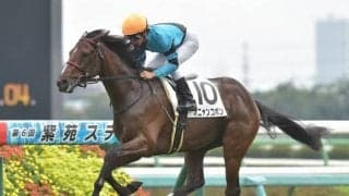 【中山5R新馬戦結果】6番人気のオニャンコポンが押し切ってデビュー勝ち