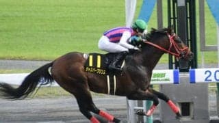 【エニフS結果】ジャスパープリンス2番手から押し切り連覇