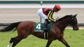 【京成杯AH前日オッズ】グレナディアガーズが3.4倍で1番人気