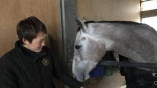 【セントウルS】カレンモエ安田師「重賞まであと一歩。勝ち星が欲しい」/ねぇさんのトレセン密着