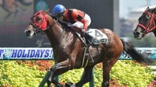 【万哲の馬場予報】開幕週らしい高速馬場で内＆前が中心になりそう