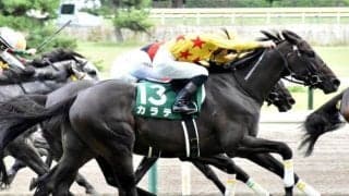 【WIN5予想】セントウルSは実績や臨戦過程に注目したい