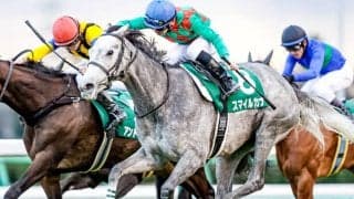 【京成杯AH予想】今年も狙いたい2ケタ人気の激走馬 候補は少しでも減らしたいところ…/JRAレース展望 