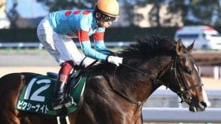 【セントウルS予想】プラス材料の多い3歳馬で人気の1頭を消し？ 勝負レースの気配漂うも評価を下げるべき理由とは!?/JRAレース展望