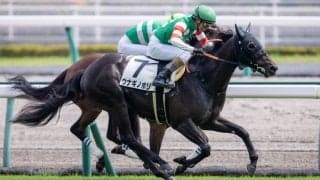 【新馬/中京5R】ドレフォン産駒 ウナギノボリがデビューV