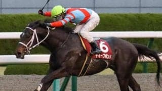 【本日の注目ポイント】京成杯AHとセントウルS、深夜にはディープボンドがフォワ賞出走