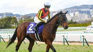 【京成杯AH予想】読みづらい一戦でAIが示す本命候補は、快挙へ向けて負けらない1頭/JRA重賞レース展望