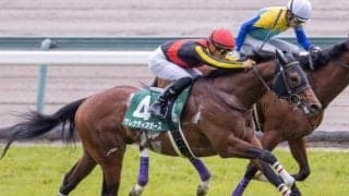 【京成杯AH予想】難解なサマーマイルシリーズの最終戦