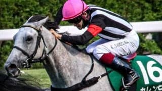 【セントウルS予想】秋の短距離王決定戦への最重要ステップ