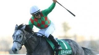 京成杯オータムＨ、コース適性高い先行馬２頭を穴党記者が強力プッシュ