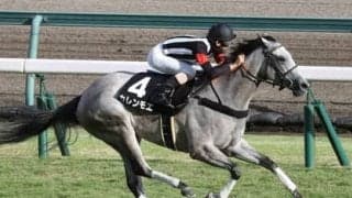 セントウルＳは名スプリンター候補２頭に期待。「中京芝1200ｍ」に相性ピッタリの血統で選ぶ