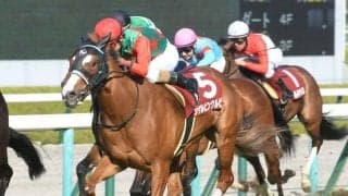 【セントウルS予想】圧倒的に「1番人気」と「8枠」が強い？ 狙うならばヒモ荒れに賭けるレース！