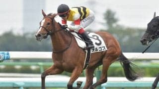 【中山5R新馬戦結果】ドレフォン産駒オルコスが2番手から抜け出す