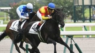 【中京5R新馬戦結果】高額馬ジャスティンパレスが押し切りデビュー勝ち