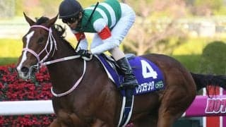 【セントウルS・馬体重】レシステンシアは508kg(+4)、カレンモエは470kg(+8)